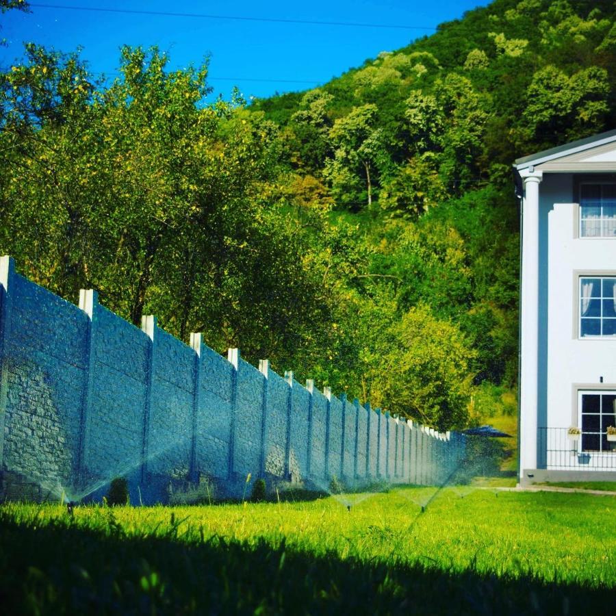 Green Hill Villa Călimăneşti Exteriér fotografie