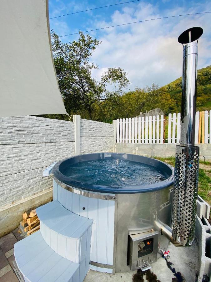 Green Hill Villa Călimăneşti Exteriér fotografie